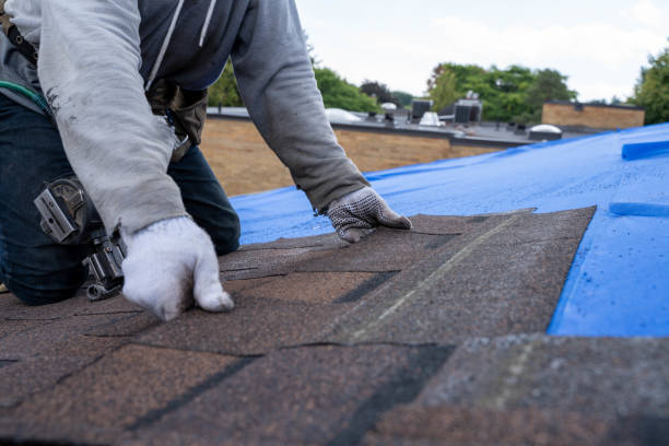 Roof Gutter Cleaning in Choctaw Lake, OH